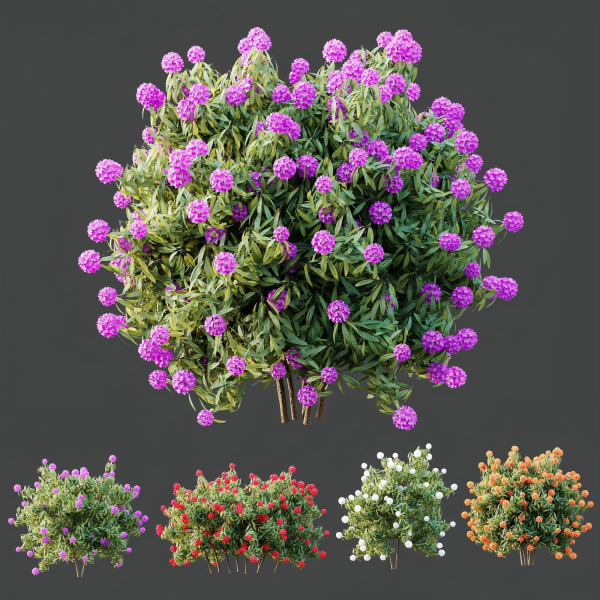 HQ Plants Rhododendron Shrub Arboreum Bush