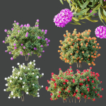 HQ Plants Rhododendron Shrub Arboreum Bush