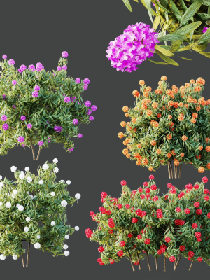 hq-plants-rhododendron-shrub-arboreum-bush-3d-model-f3cee69b3b