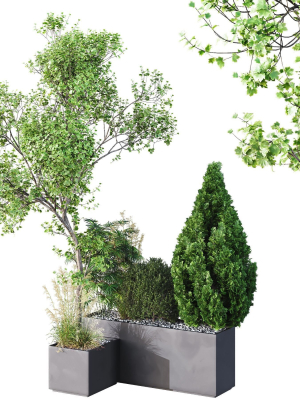 HQ Tree and bush garden box outdoor VOL 05
