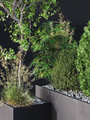 hq-tree-and-bush-garden-box-outdoor-vol-05-3d-model-9e3003725b
