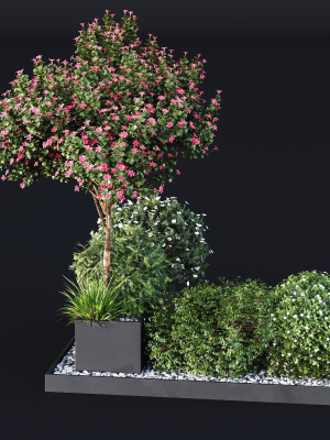 hq-tree-and-bush-garden-box-outdoor-vol-06-3d-model-280c99697f