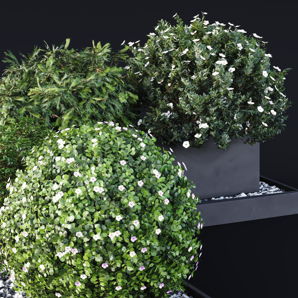 HQ Tree and bush garden box outdoor VOL 06