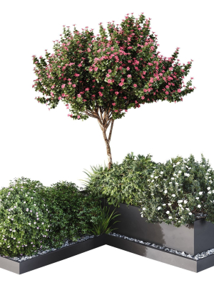 HQ Tree and bush garden box outdoor VOL 06
