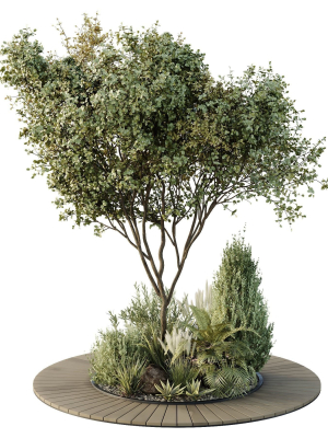 HQ Tree and bush garden box outdoor VOL 16