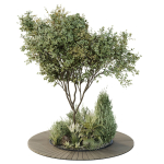 HQ Tree and bush garden box outdoor VOL 16