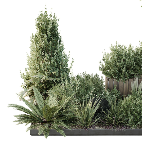HQ Tree and bush garden box outdoor VOL 17