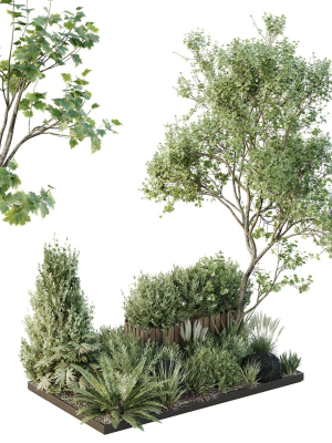 HQ Tree and bush garden box outdoor VOL 17