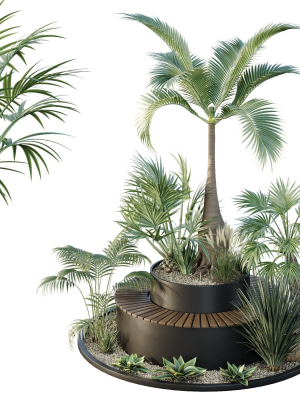 HQ Tree and bush garden box outdoor VOL 19
