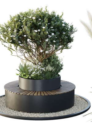 HQ Tree and bush garden box outdoor VOL 21