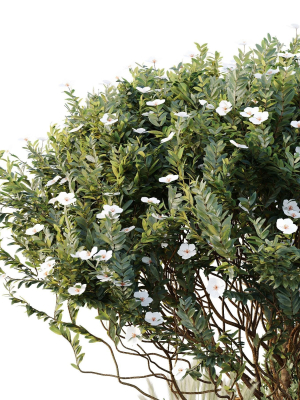 hq-tree-and-bush-garden-box-outdoor-vol-21-3d-model-5d87efe9db