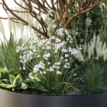 HQ Tree and bush garden box outdoor VOL 21