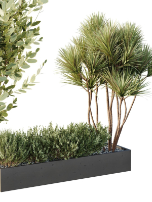 HQ Tree and bush garden box outdoor VOL 22