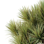 HQ Tree and bush garden box outdoor VOL 22