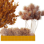 HQ Tree and bush garden box outdoor VOL 22