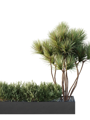 hq-tree-and-bush-garden-box-outdoor-vol-22-3d-model-a3390b5311
