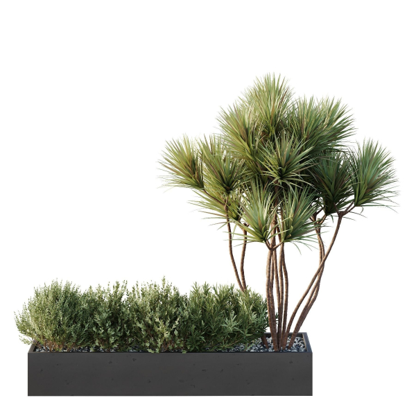 HQ Tree and bush garden box outdoor VOL 22