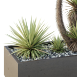 HQ Tree and bush garden box outdoor VOL 23