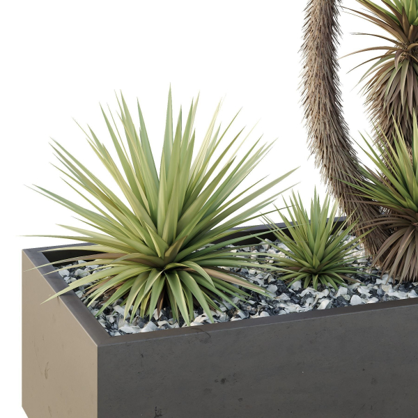 HQ Tree and bush garden box outdoor VOL 23