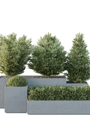 HQ Tree and bush garden box outdoor VOL 27