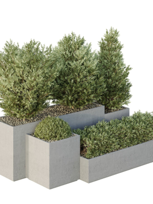 hq-tree-and-bush-garden-box-outdoor-vol-27-3d-model-b913d4d332