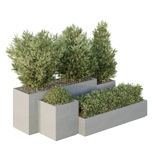 HQ Tree and bush garden box outdoor VOL 27
