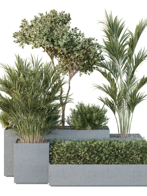HQ Tree and bush garden box outdoor VOL 28