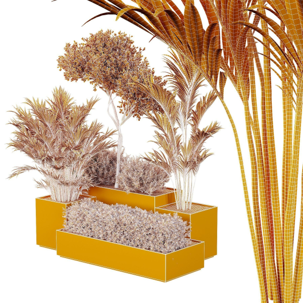 HQ Tree and bush garden box outdoor VOL 28