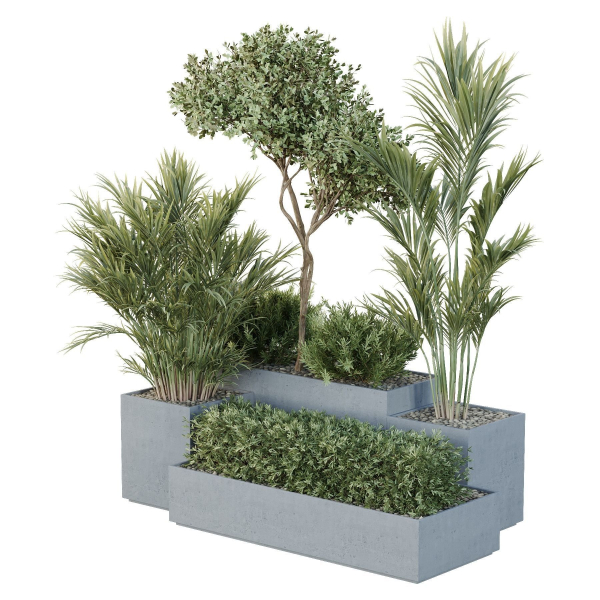 HQ Tree and bush garden box outdoor VOL 28