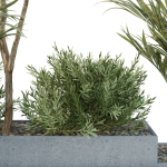 HQ Tree and bush garden box outdoor VOL 28