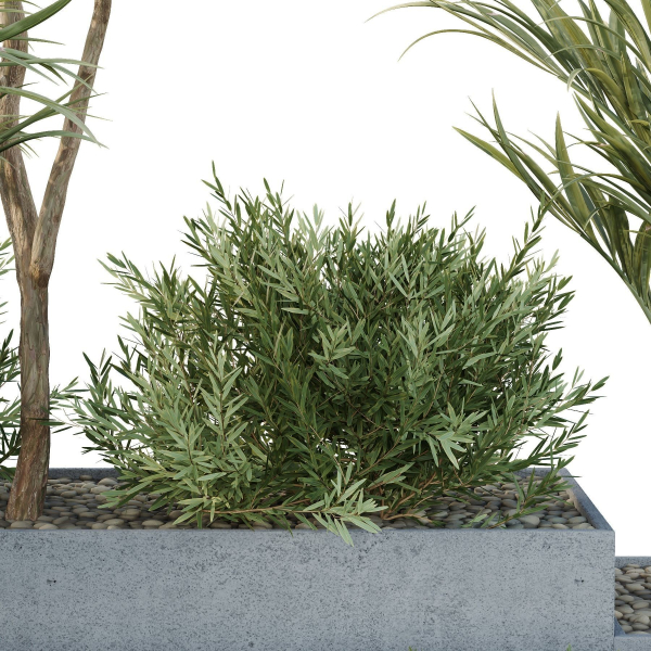 HQ Tree and bush garden box outdoor VOL 28
