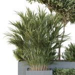 HQ Tree and bush garden box outdoor VOL 28