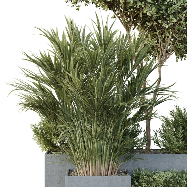 HQ Tree and bush garden box outdoor VOL 28