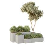 HQ Tree and bush garden box outdoor VOL 29