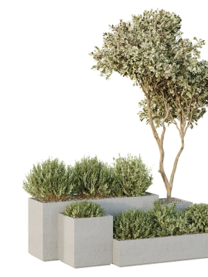 hq-tree-and-bush-garden-box-outdoor-vol-29-3d-model-be875115c2