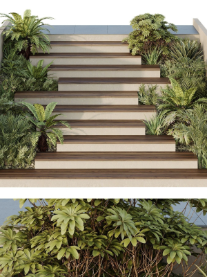 HQ Tree and bush garden box outdoor VOL 30
