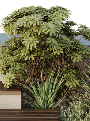 hq-tree-and-bush-garden-box-outdoor-vol-30-3d-model-7be9d4c7f6