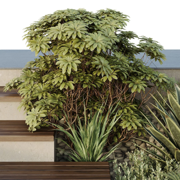 HQ Tree and bush garden box outdoor VOL 30