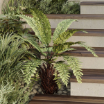 HQ Tree and bush garden box outdoor VOL 30