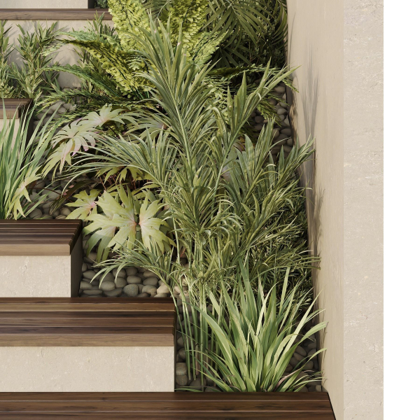 HQ Tree and bush garden box outdoor VOL 30