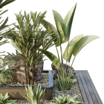 HQ Tree and bush garden box outdoor VOL 31