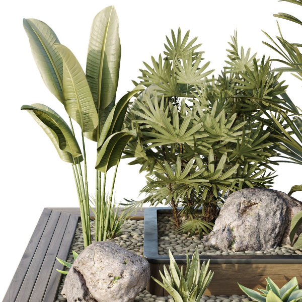HQ Tree and bush garden box outdoor VOL 31