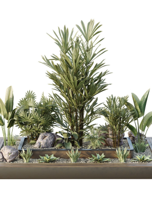 HQ Tree and bush garden box outdoor VOL 31