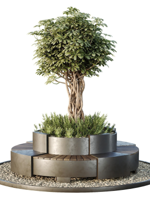 HQ Tree and bush garden box outdoor VOL 32