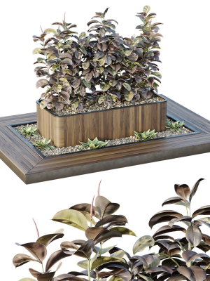 HQ Tree and bush garden box outdoor VOL 33