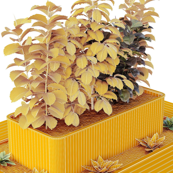 HQ Tree and bush garden box outdoor VOL 33