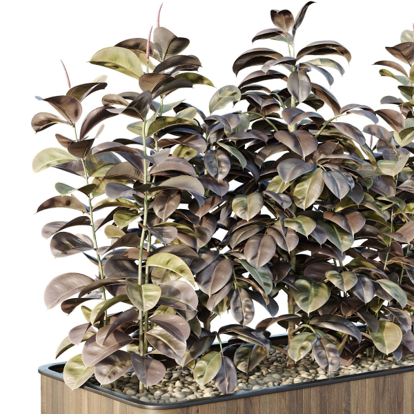 HQ Tree and bush garden box outdoor VOL 33