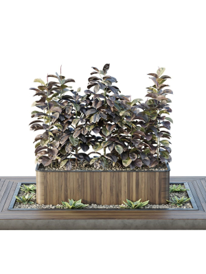 hq-tree-and-bush-garden-box-outdoor-vol-33-3d-model-99881ef6f1