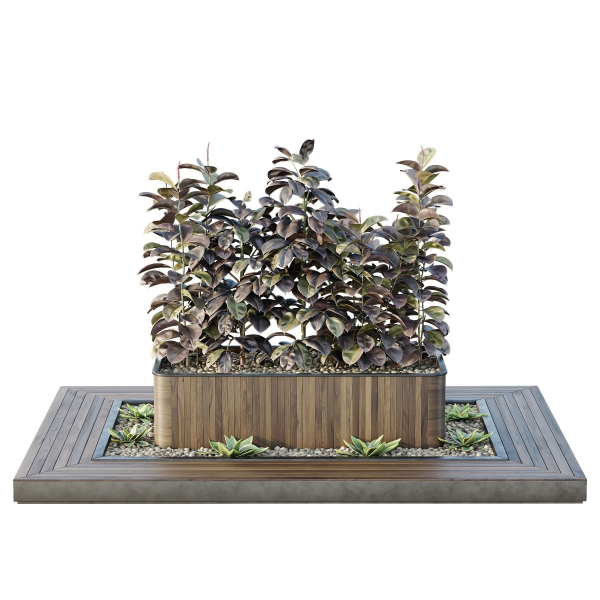 HQ Tree and bush garden box outdoor VOL 33
