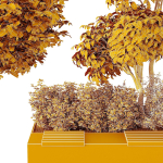HQ Tree and bush garden box outdoor VOL 34